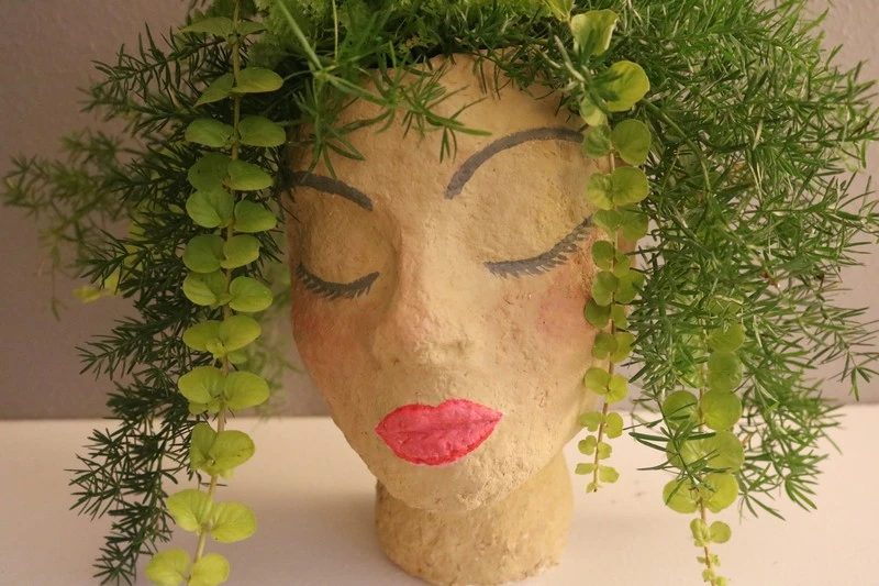 Lovely Indoor Head Planter